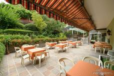 Hotel Grüner Baum - Terrazza